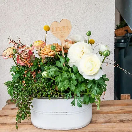 In Near Areas 아파트 살펠덴암스타이너르넨미어