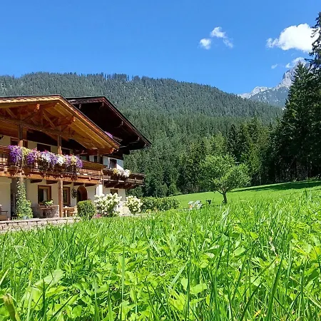 In Near Areas Daire *